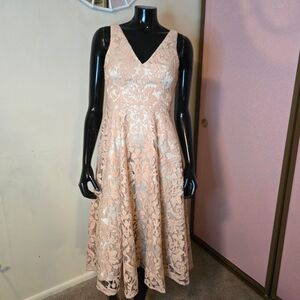 Beautiful Embellished Floral Lace Peach Dress